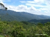 picoduarte - 15